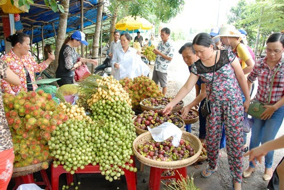 Kham pha xu so dau da dieu ky o mien Tay-Hinh-10